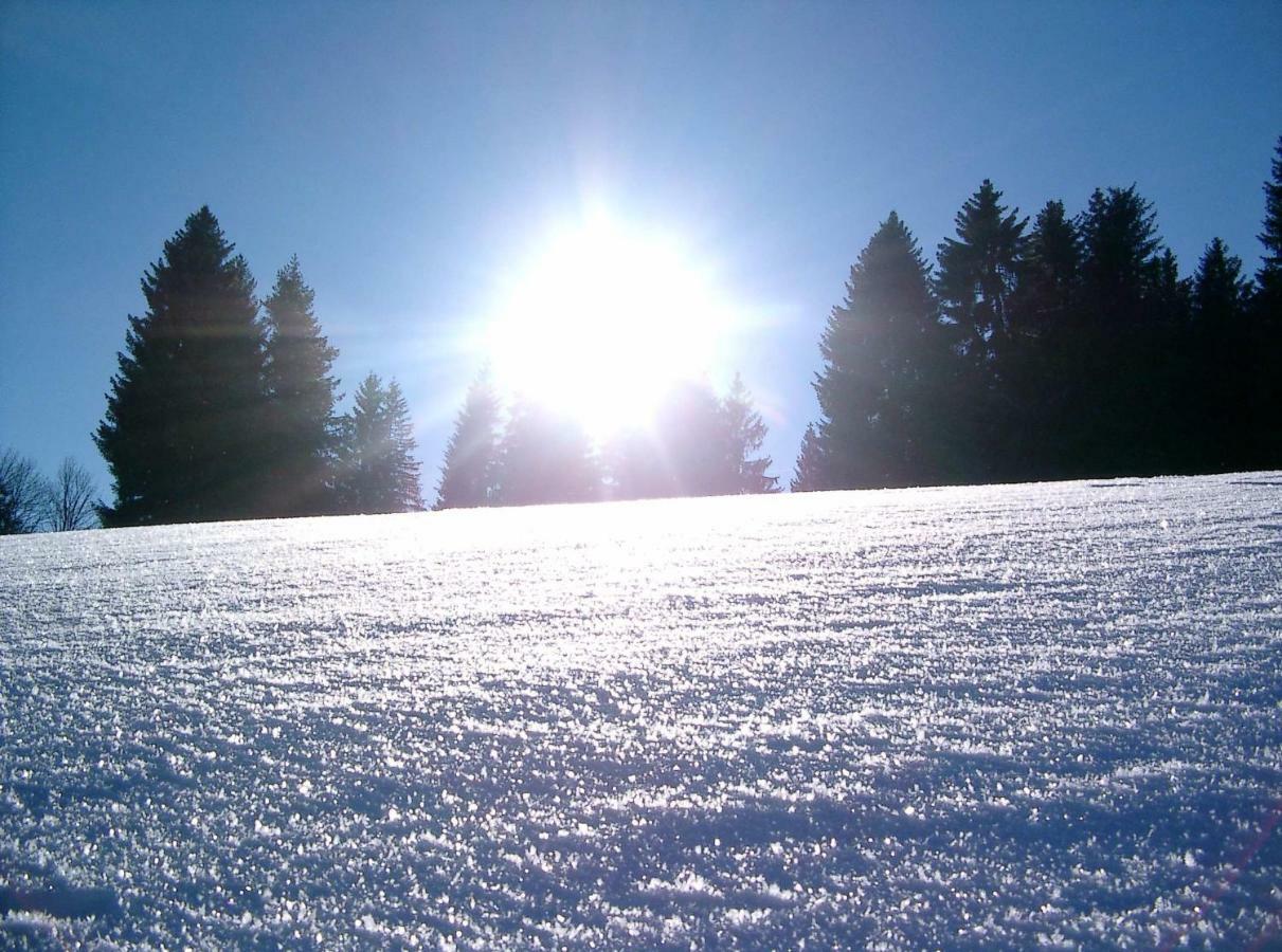 Weitblick "Entspannen - Wohlfuehlen - Aktiv Erholen" เอลซาค ภายนอก รูปภาพ